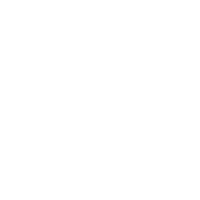 hassan