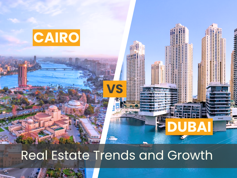 Real estate in Dubai and Cairo